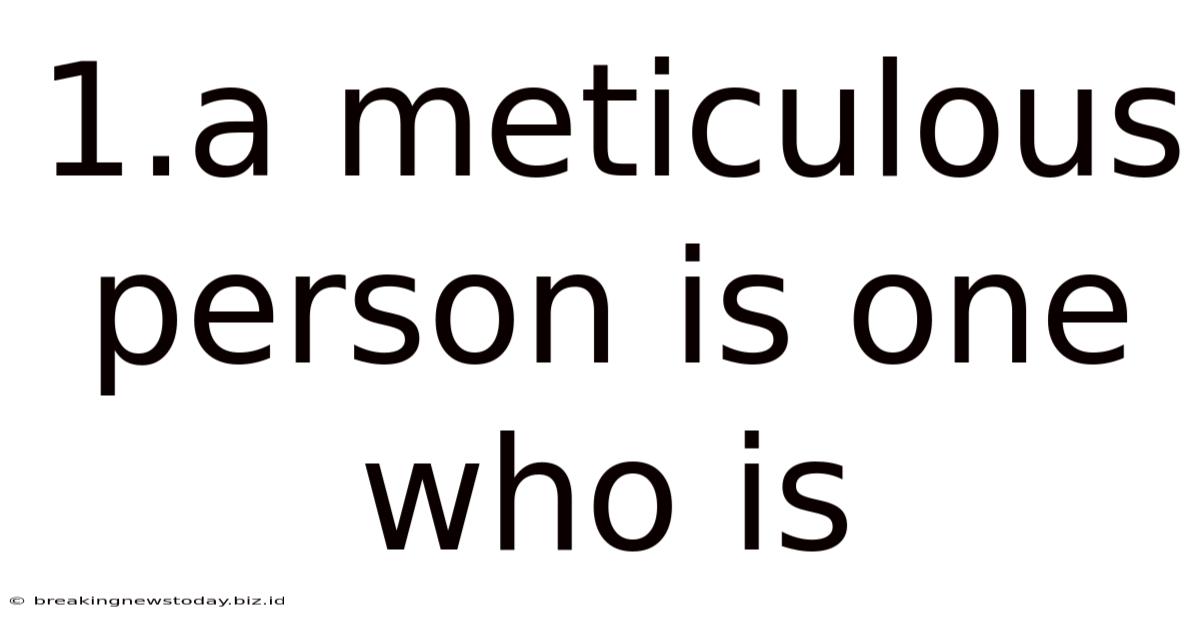 1.a Meticulous Person Is One Who Is