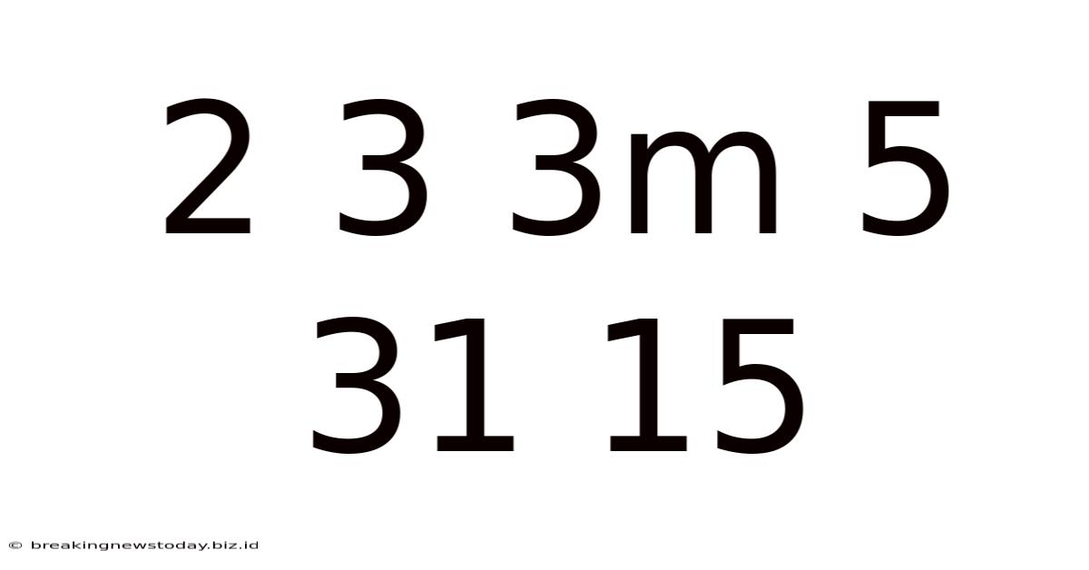 2 3 3m 5 31 15