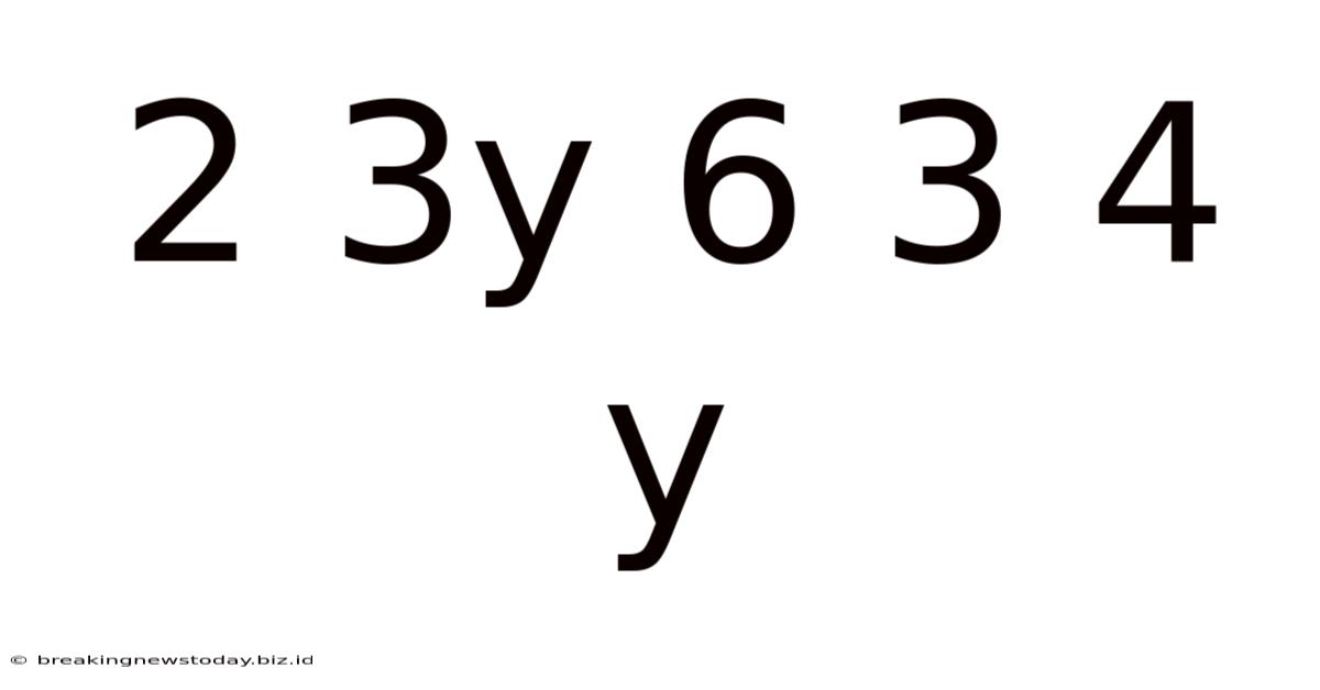 2 3y 6 3 4 Y