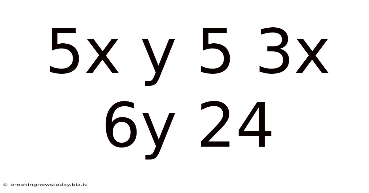 5x Y 5 3x 6y 24