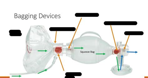 A Bag Mask Device Is Used To Provide Quizlet