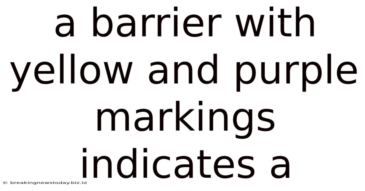 A Barrier With Yellow And Purple Markings Indicates A