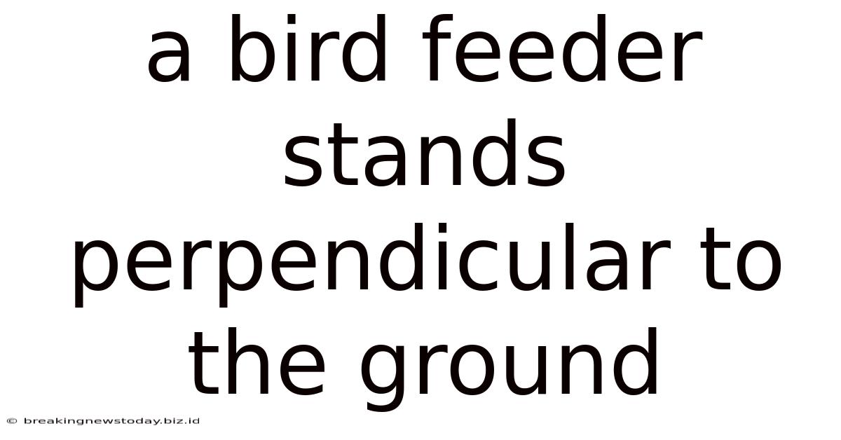 A Bird Feeder Stands Perpendicular To The Ground