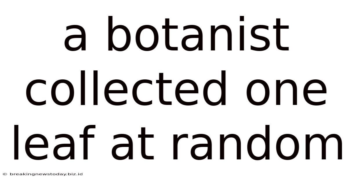A Botanist Collected One Leaf At Random
