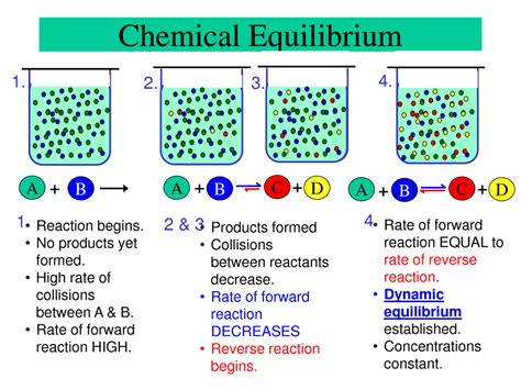 A Chemical Reaction Has Reached Equilibrium When