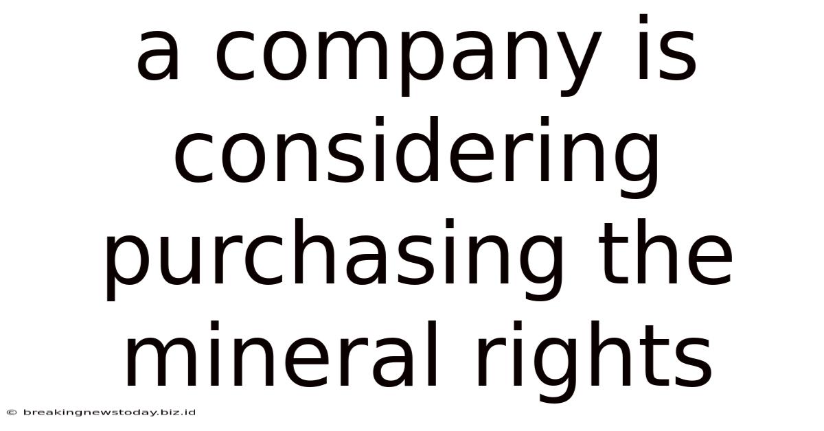 A Company Is Considering Purchasing The Mineral Rights