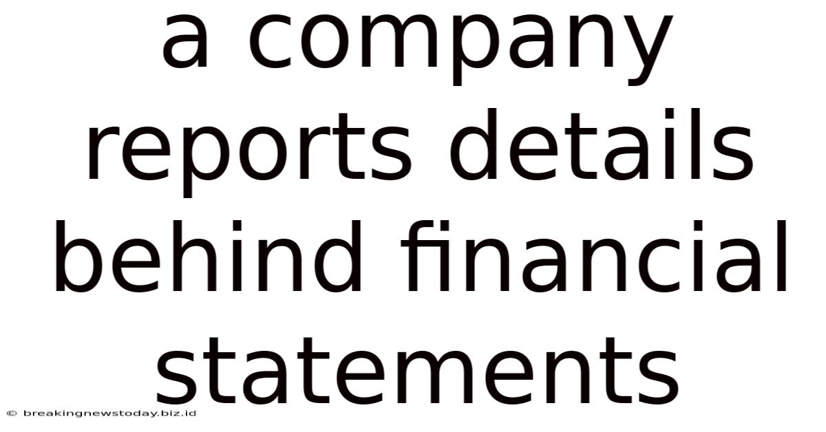 A Company Reports Details Behind Financial Statements