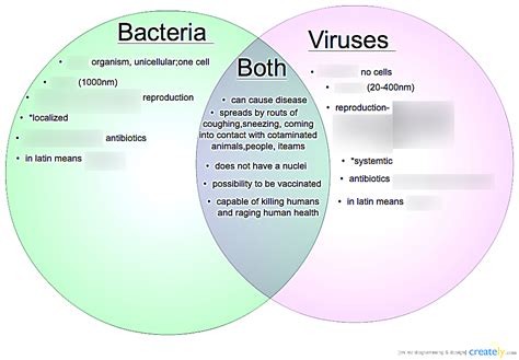 A Difference Between Viruses And Bacterial Infections Is Quizlet