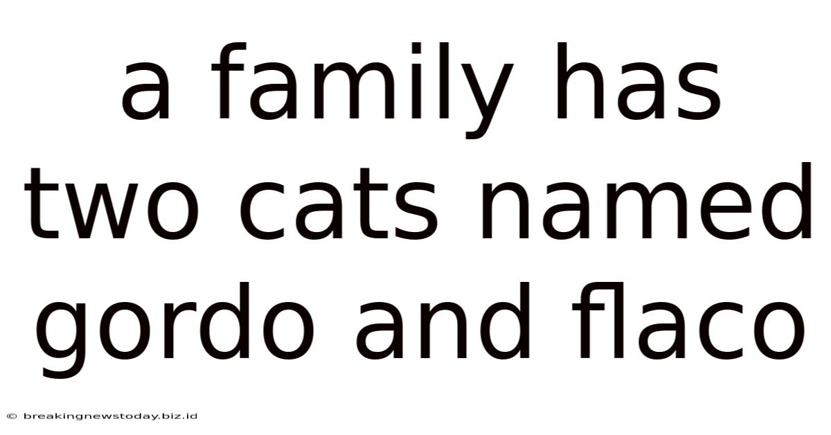 A Family Has Two Cats Named Gordo And Flaco