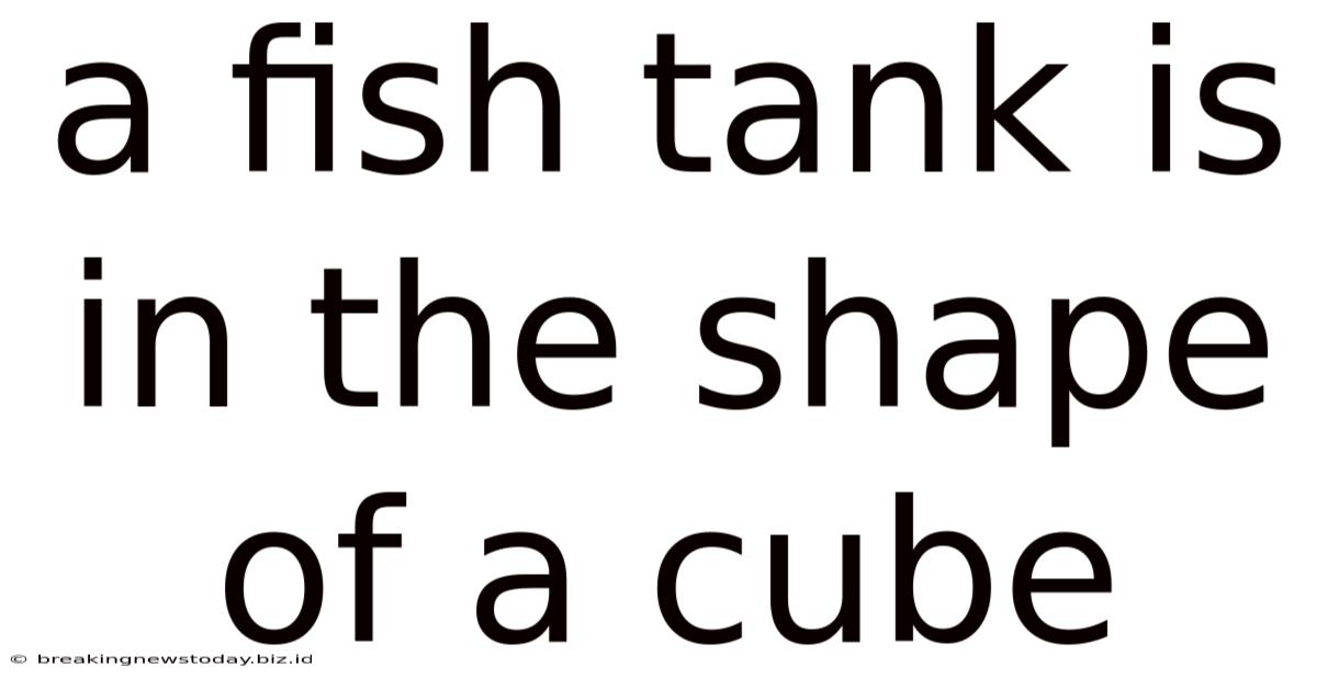 A Fish Tank Is In The Shape Of A Cube