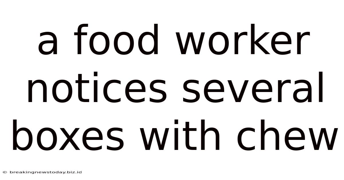 A Food Worker Notices Several Boxes With Chew