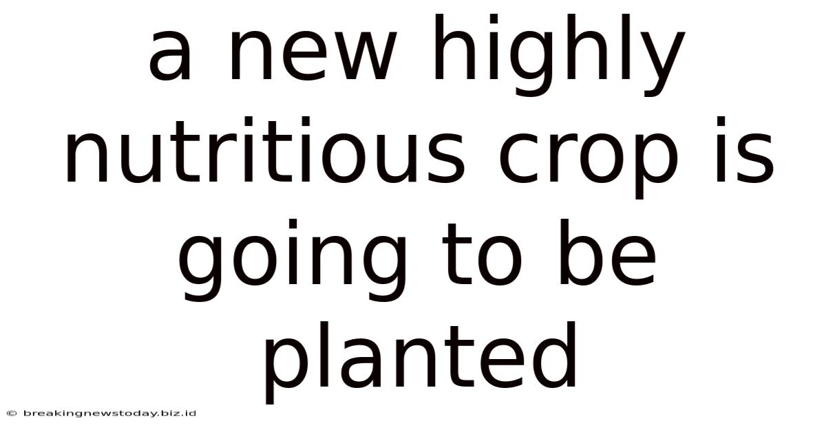 A New Highly Nutritious Crop Is Going To Be Planted
