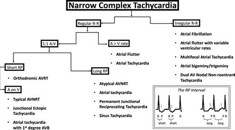 A Patient In Stable Narrow Complex Tachycardia