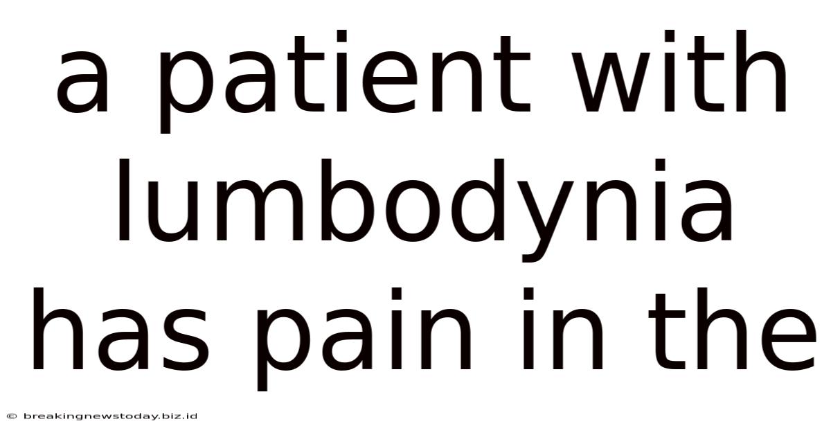 A Patient With Lumbodynia Has Pain In The