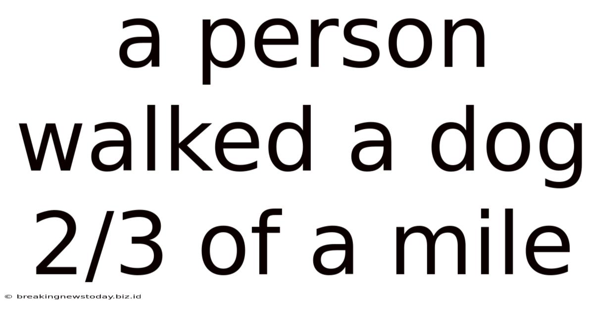 A Person Walked A Dog 2/3 Of A Mile