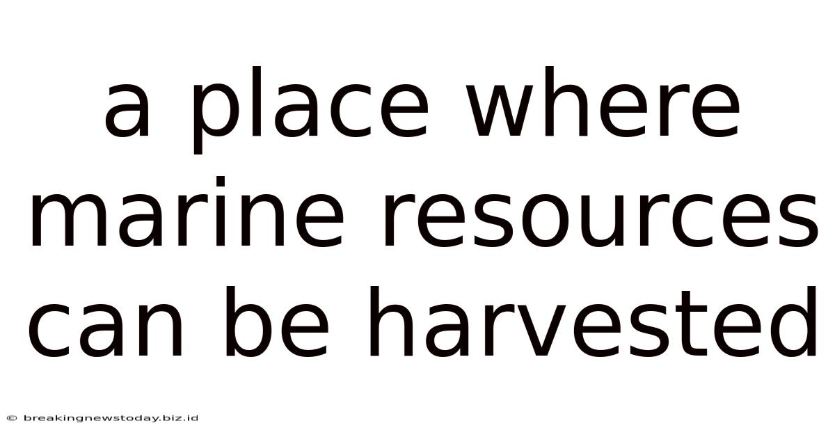 A Place Where Marine Resources Can Be Harvested