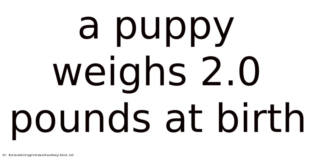 A Puppy Weighs 2.0 Pounds At Birth