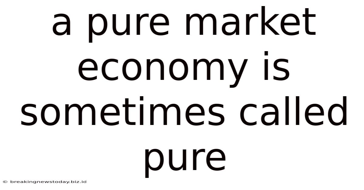 A Pure Market Economy Is Sometimes Called Pure