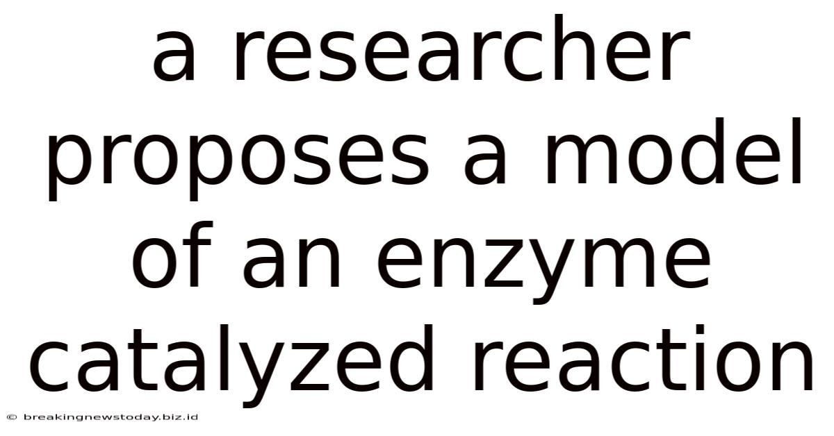 A Researcher Proposes A Model Of An Enzyme Catalyzed Reaction