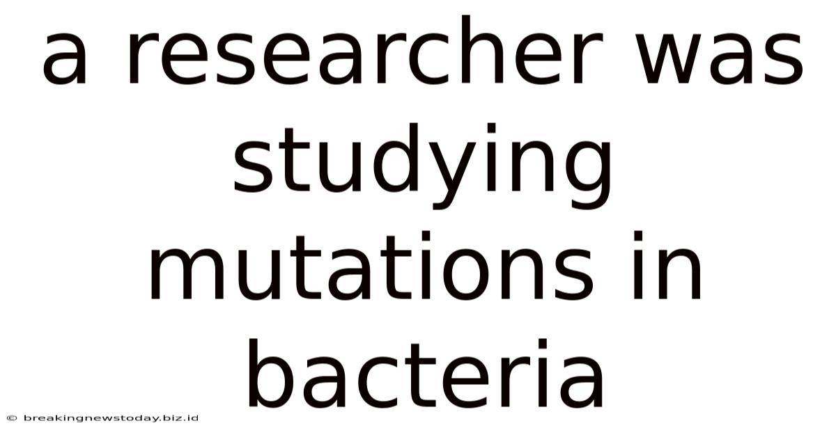 A Researcher Was Studying Mutations In Bacteria