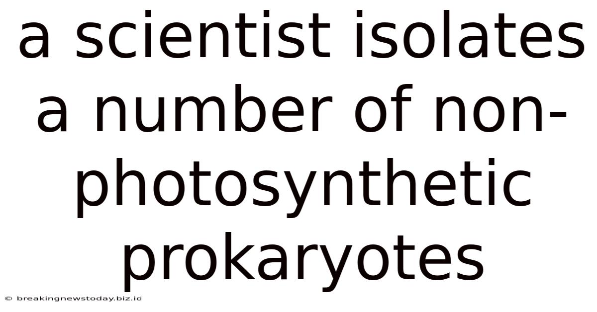 A Scientist Isolates A Number Of Non-photosynthetic Prokaryotes