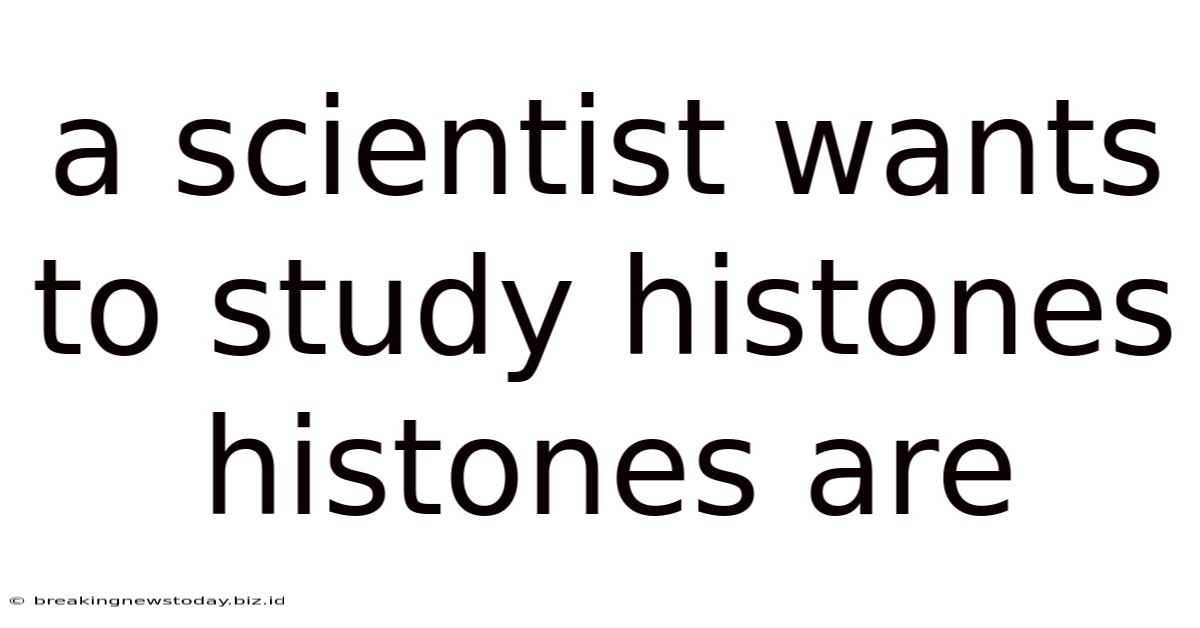 A Scientist Wants To Study Histones Histones Are