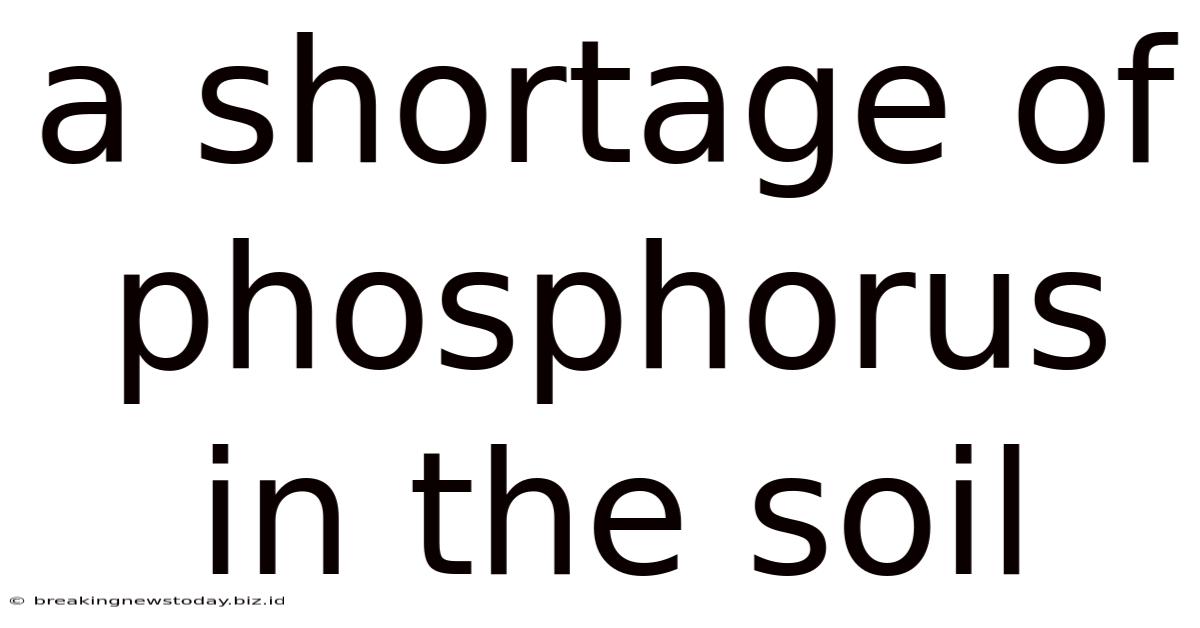 A Shortage Of Phosphorus In The Soil