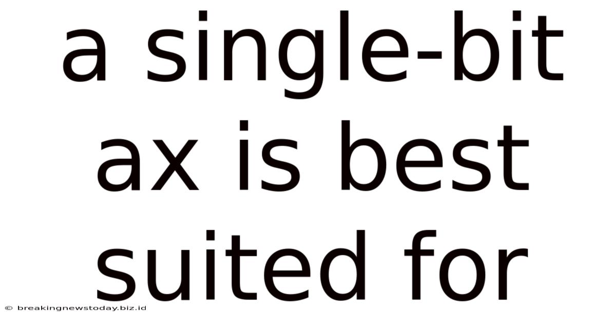 A Single-bit Ax Is Best Suited For