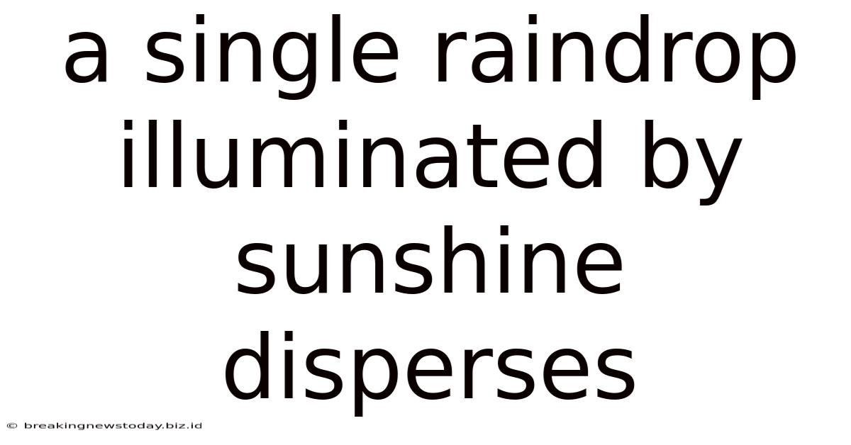 A Single Raindrop Illuminated By Sunshine Disperses