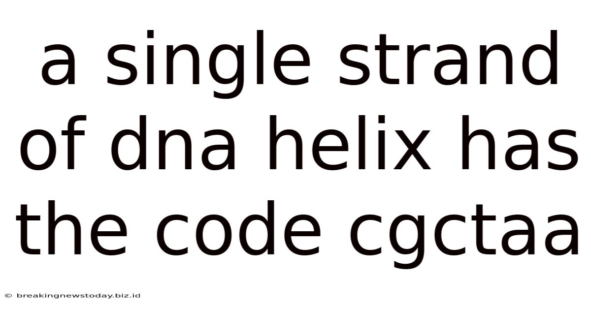 A Single Strand Of Dna Helix Has The Code Cgctaa