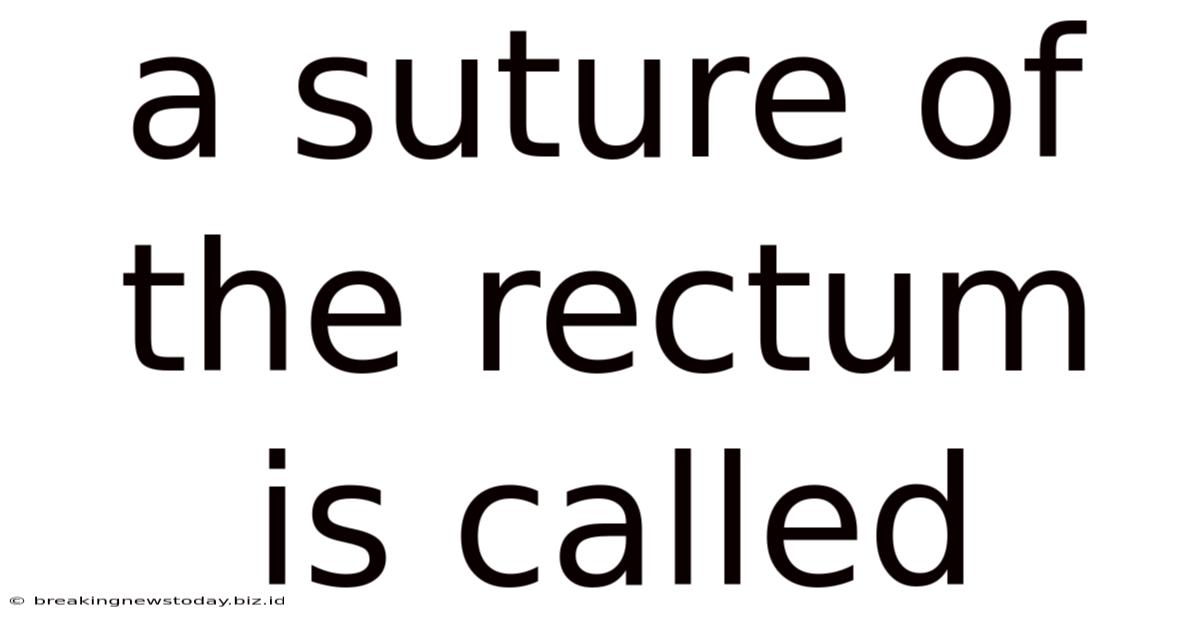 A Suture Of The Rectum Is Called