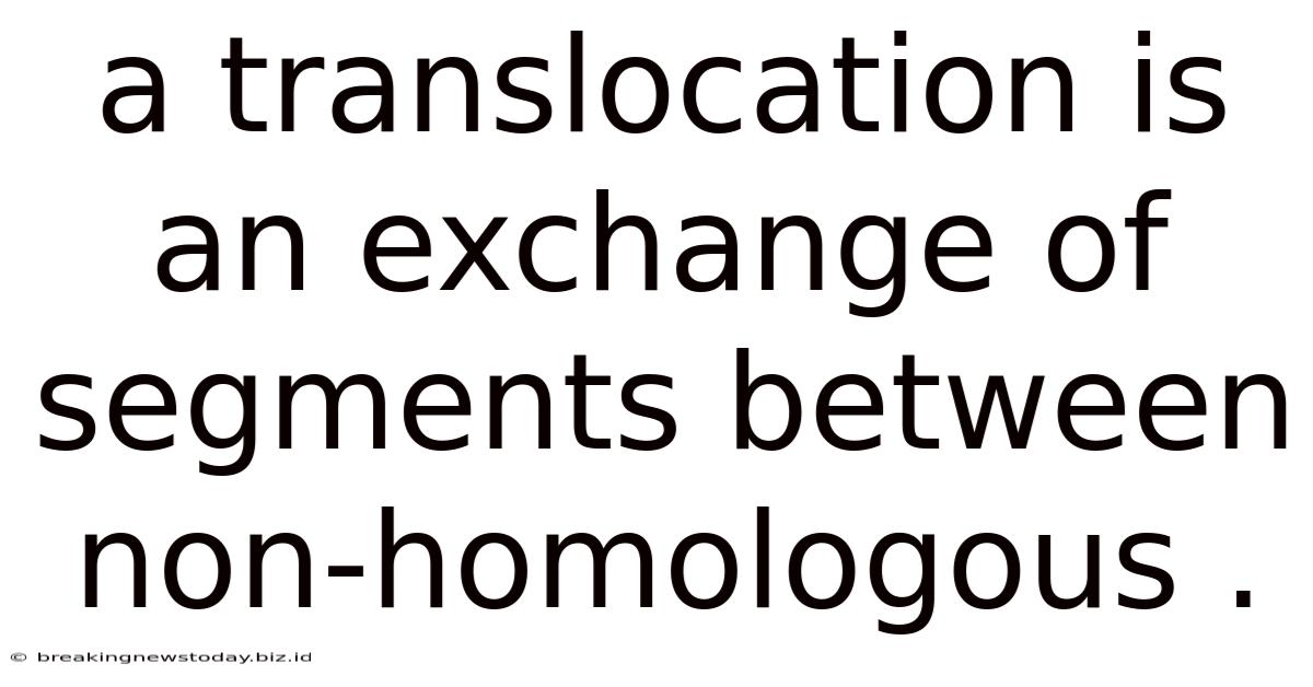 A Translocation Is An Exchange Of Segments Between Non-homologous .