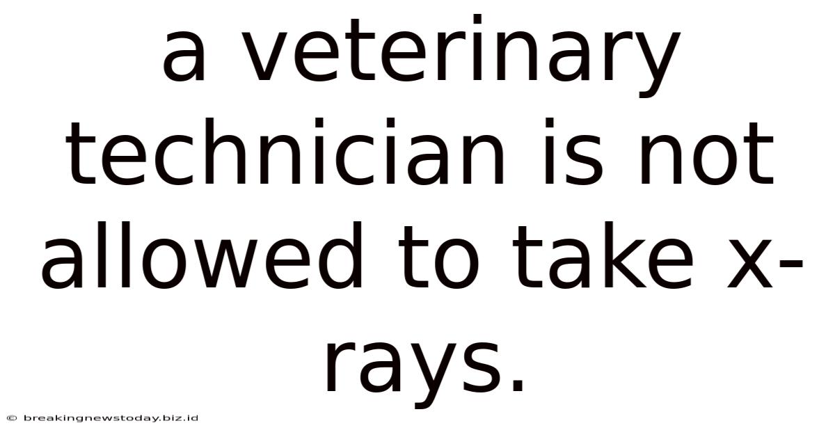 A Veterinary Technician Is Not Allowed To Take X-rays.