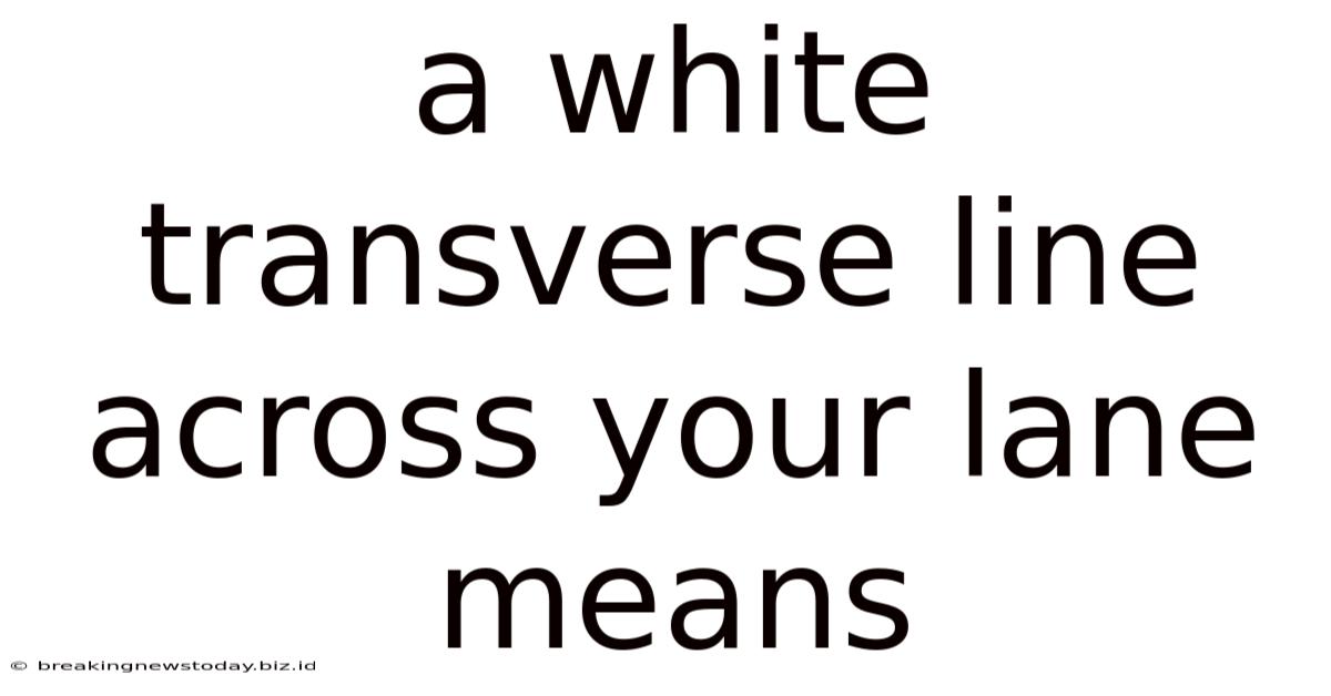 A White Transverse Line Across Your Lane Means