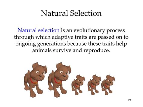 According To Evolutionary Psychology Natural Selection Favors Behaviors That