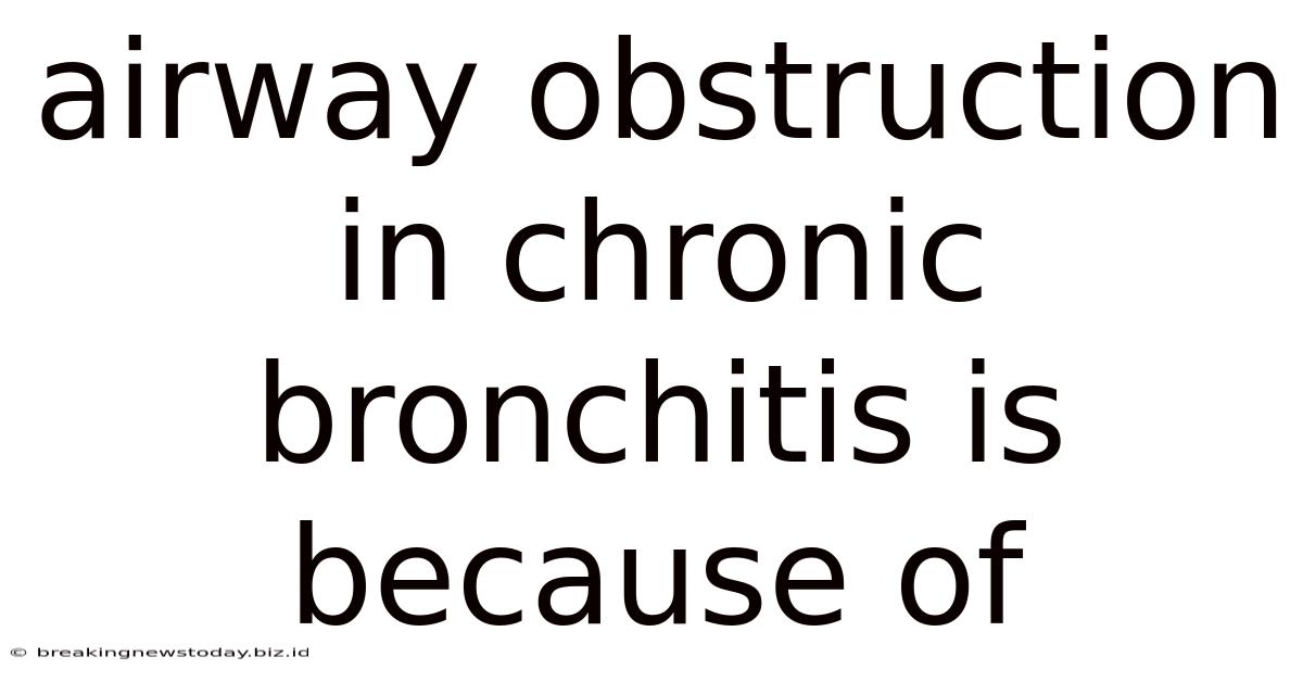 Airway Obstruction In Chronic Bronchitis Is Because Of