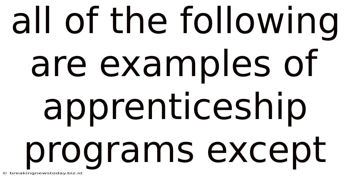 All Of The Following Are Examples Of Apprenticeship Programs Except