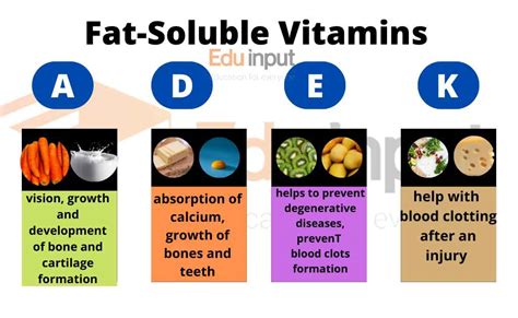 All Of The Following Are Fat Soluble Vitamins Except