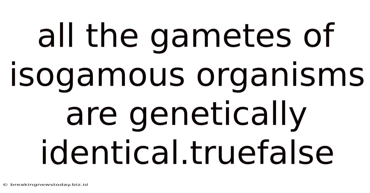 All The Gametes Of Isogamous Organisms Are Genetically Identical.truefalse