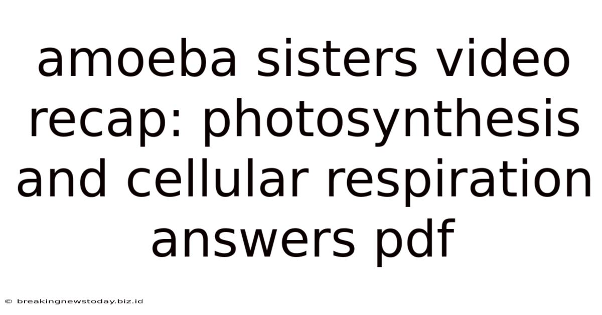 Amoeba Sisters Video Recap: Photosynthesis And Cellular Respiration Answers Pdf