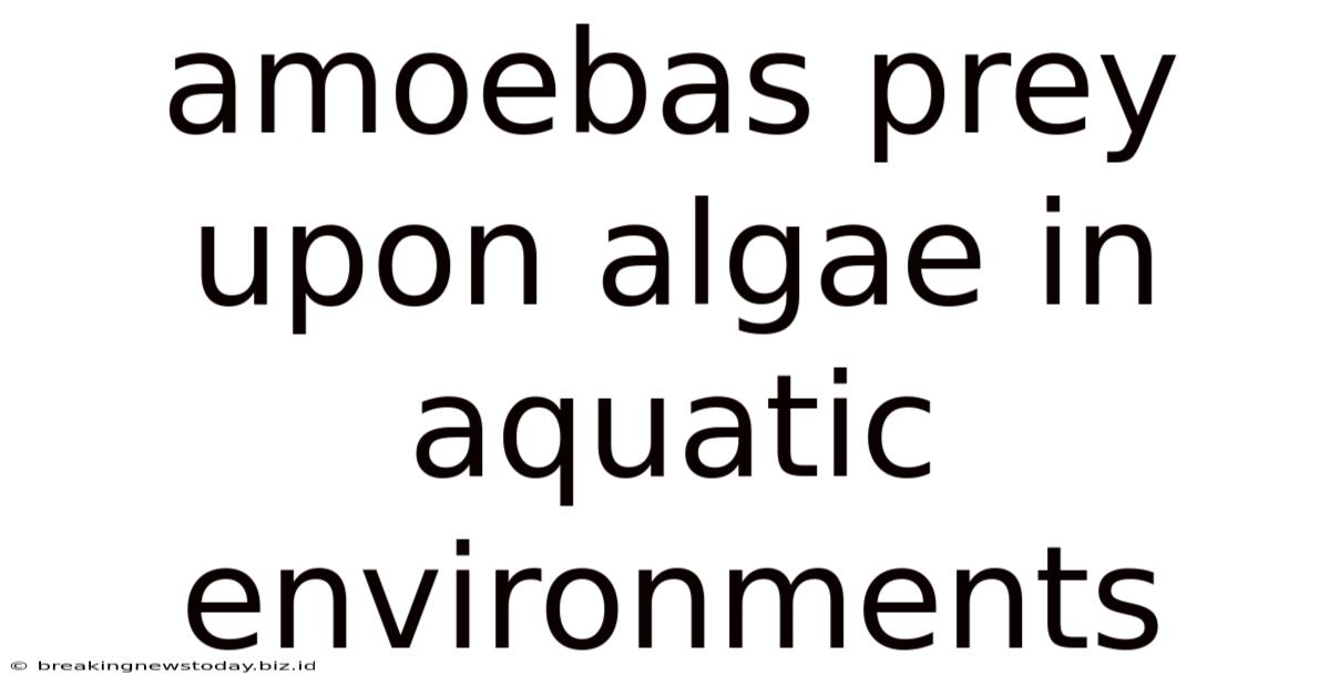 Amoebas Prey Upon Algae In Aquatic Environments