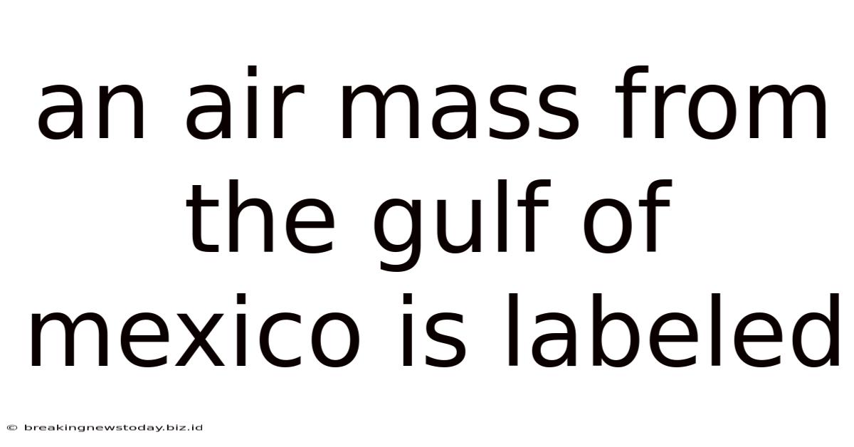 An Air Mass From The Gulf Of Mexico Is Labeled