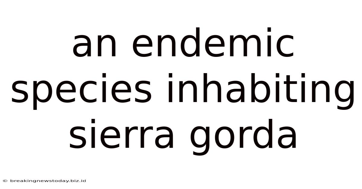 An Endemic Species Inhabiting Sierra Gorda