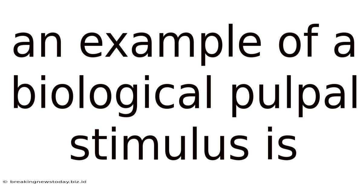 An Example Of A Biological Pulpal Stimulus Is