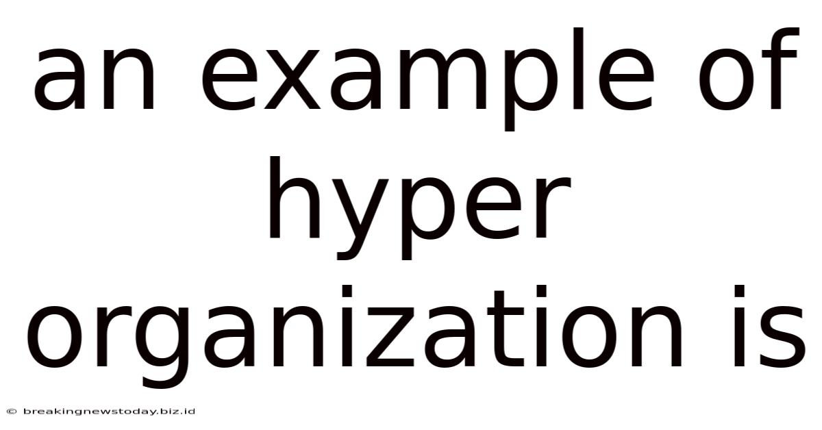 An Example Of Hyper Organization Is