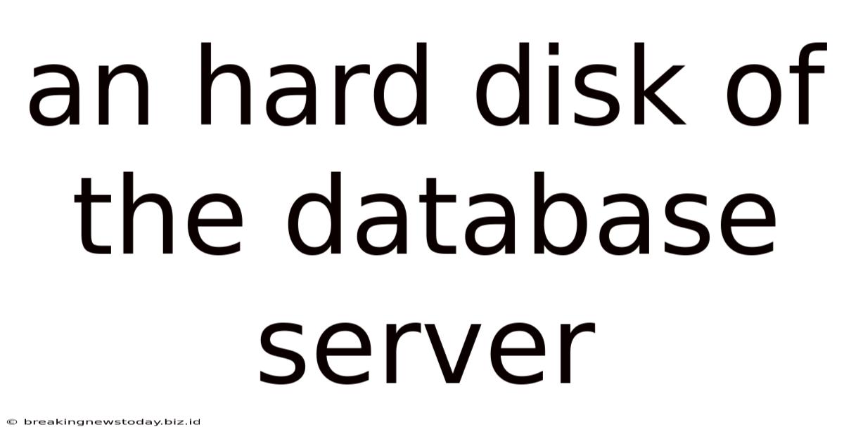 An Hard Disk Of The Database Server