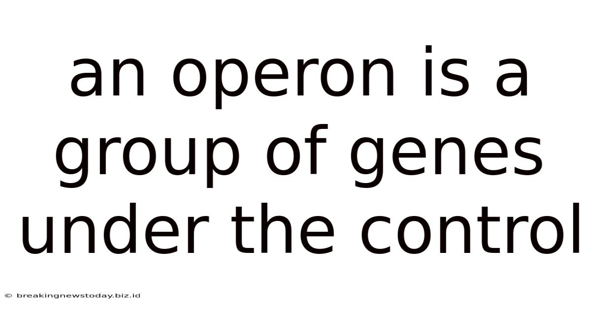 An Operon Is A Group Of Genes Under The Control