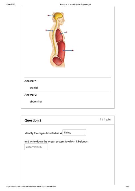 Anatomy And Physiology 1 Lab Practical 1