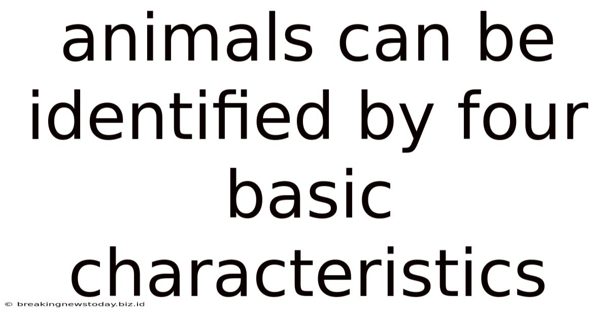 Animals Can Be Identified By Four Basic Characteristics