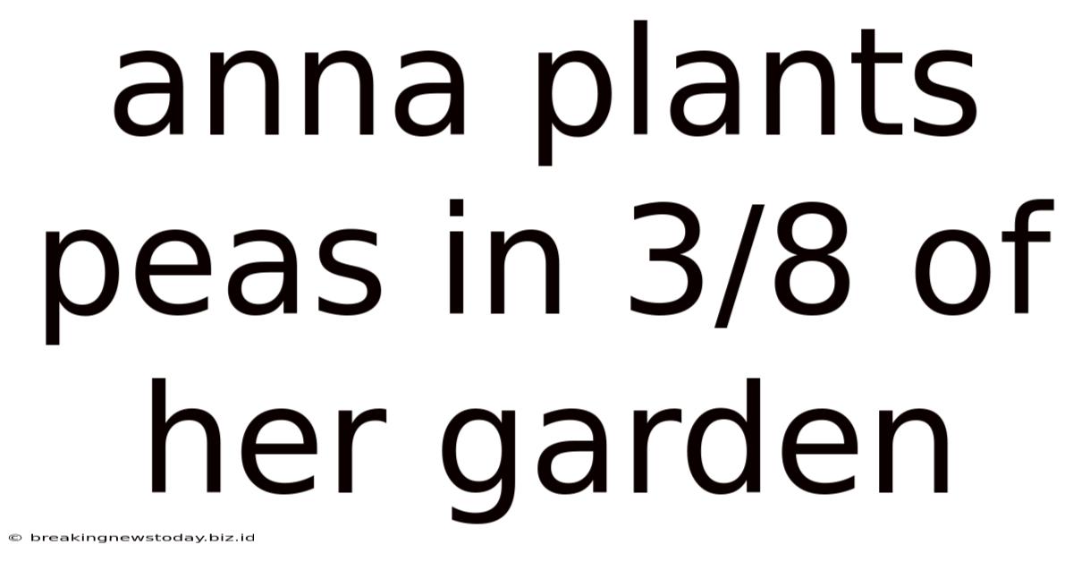 Anna Plants Peas In 3/8 Of Her Garden